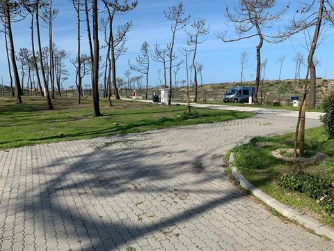 Camping Gala - Camping Centre du Portugal - Image N°22