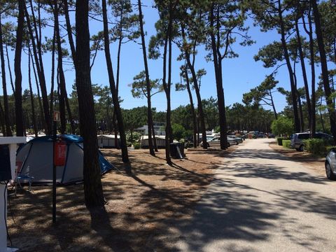 Camping Gala - Camping Centre du Portugal - Image N°21