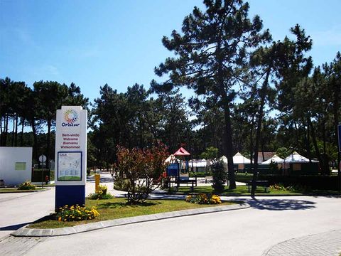 Camping Gala - Camping Centre du Portugal - Image N°17