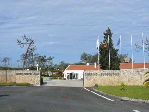Camping Gala - Camping Centre du Portugal - Image N°16