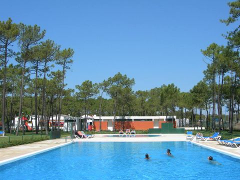 Camping Gala - Camping Centre du Portugal - Image N°4