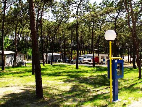 Camping Gala - Camping Centre du Portugal - Image N°29