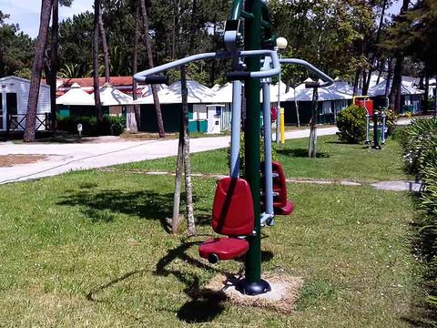 Camping Gala - Camping Centre du Portugal - Image N°12