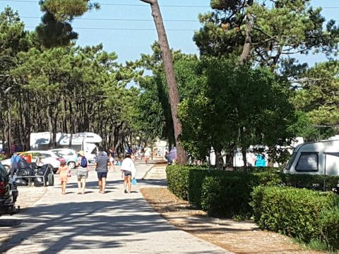 Camping Gala - Camping Centre du Portugal - Image N°20