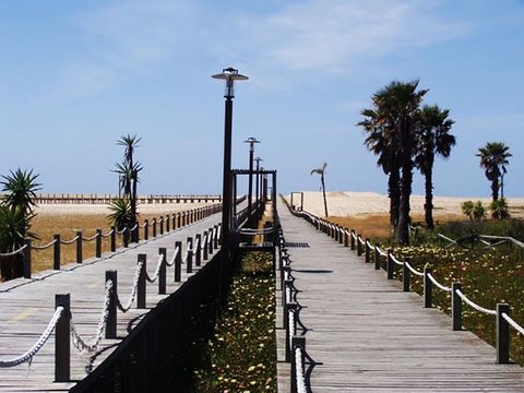 Camping Gala - Camping Centre du Portugal - Image N°24