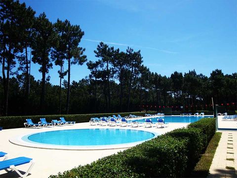 Camping Gala - Camping Centre du Portugal - Image N°3