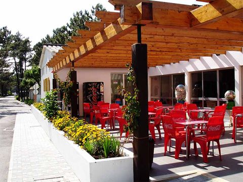 Camping Gala - Camping Centre du Portugal - Image N°13