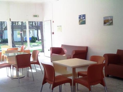 Camping Gala - Camping Centre du Portugal - Image N°14