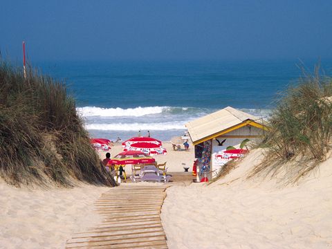 Camping Mira - Camping Centre du Portugal - Image N°12