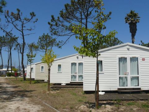 Bungalow 5 personnes - HAWAI - sans sanitaire