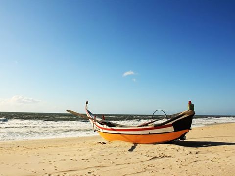 Camping Mira - Camping Centre du Portugal - Image N°13