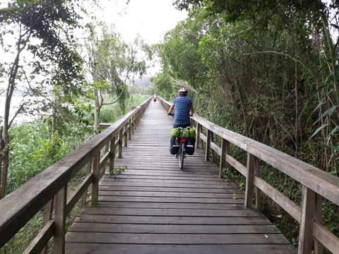 Camping Mira - Camping Centre du Portugal - Image N°15