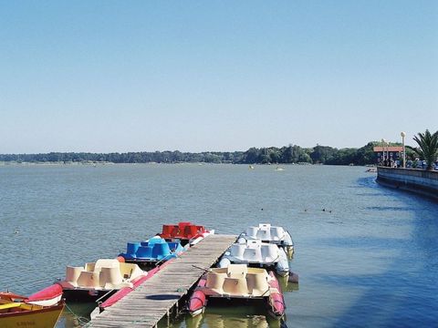 Camping Mira - Camping Centre du Portugal - Image N°17