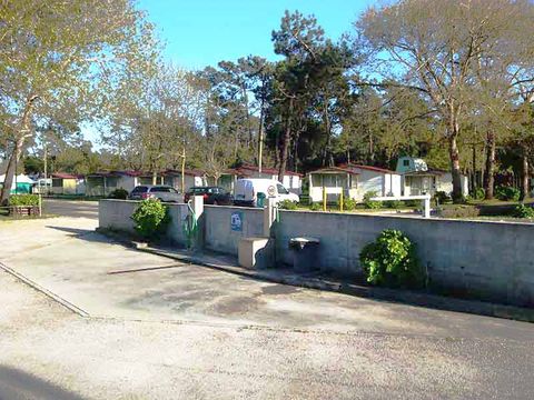 Camping Mira - Camping Centre du Portugal - Image N°7