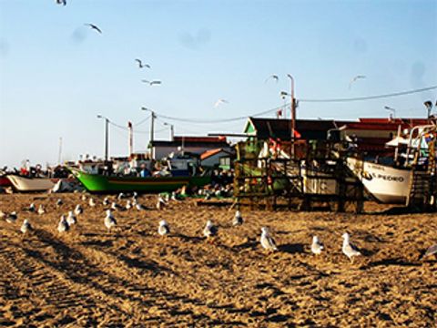 Camping Sao Pedro de Moel - Camping Région de Lisbonne - Image N°52