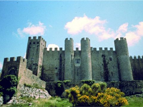 Camping Sao Pedro de Moel - Camping Région de Lisbonne - Image N°50