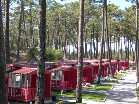 CHALET 5 personnes - MEDITERRANEO