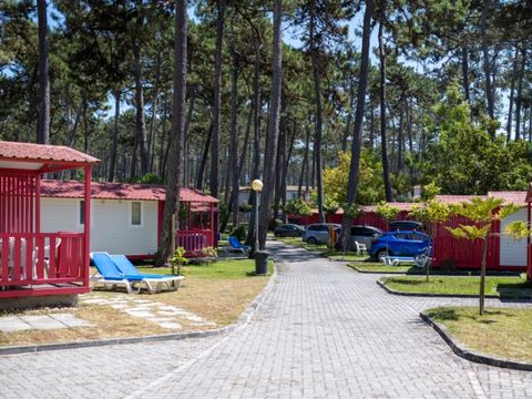 CHALET 5 personnes - MEDITERRANEO