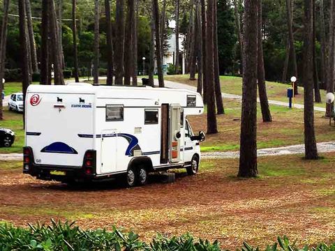 Camping Sao Pedro de Moel - Camping Région de Lisbonne - Image N°56