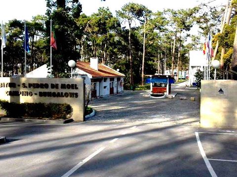 Camping Sao Pedro de Moel - Camping Région de Lisbonne - Image N°54