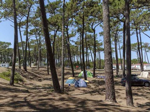 Camping Sao Pedro de Moel - Camping Région de Lisbonne - Image N°55