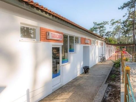 Camping Sao Pedro de Moel - Camping Région de Lisbonne - Image N°36