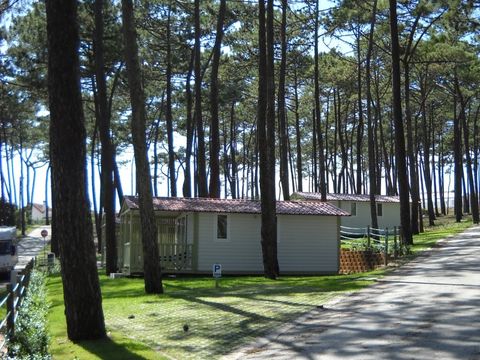 BUNGALOW 2 personnes - ATLANTICO