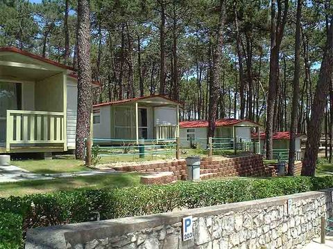 Camping Valado - Camping Centre du Portugal - Image N°23