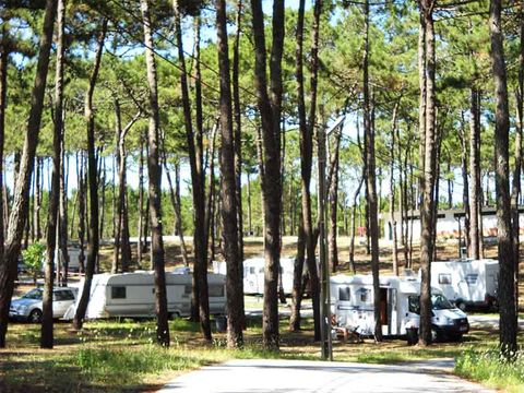 Camping Valado - Camping Centre du Portugal - Image N°24