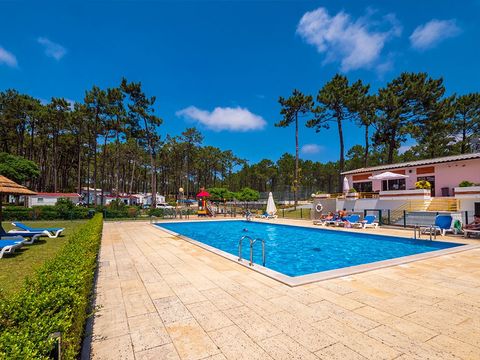 Camping Valado - Camping Centre du Portugal - Image N°2