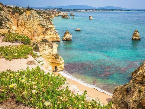 Camping Orbitur Valverde - Camping Algarve - Portugal - Image N°13