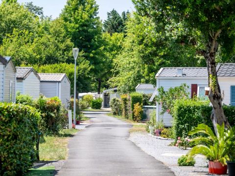 Camping maeva Escapades l'Arbre d'Or  - Camping Landes - Image N°74