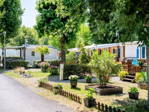 Camping maeva Escapades l'Arbre d'Or  - Camping Landes - Image N°83