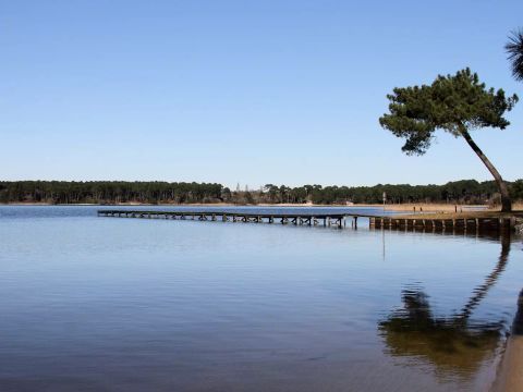 Camping maeva Escapades l'Arbre d'Or  - Camping Landes - Image N°71