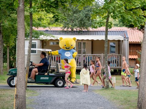 Camping maeva Escapades l'Arbre d'Or  - Camping Landes - Image N°48