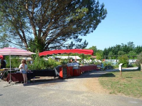 Camping Les Pins du Soleil - Camping Landes - Image N°14