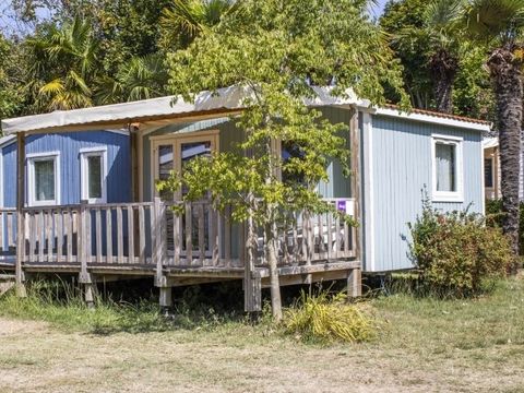 MOBILHOME 6 personnes - Mobile-home AVOCETTE**** 