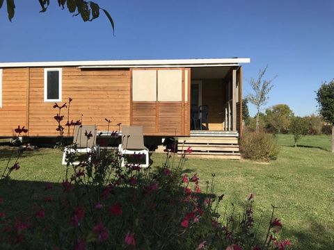 MOBILHOME 4 personnes - Mobile-home BERGERONETTE**** 4 personnes