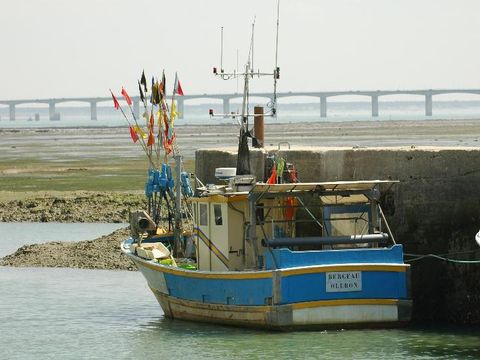 Camping Les Embruns d'Oléron - Camping Charente-Maritime - Image N°43