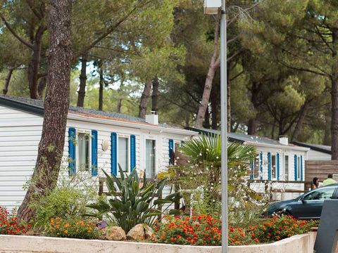 MOBILHOME 8 personnes - Cannelle + clim
