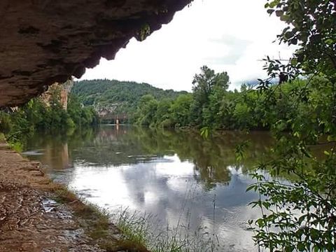 Flower Camping De la Plage - Camping Lot - Image N°84