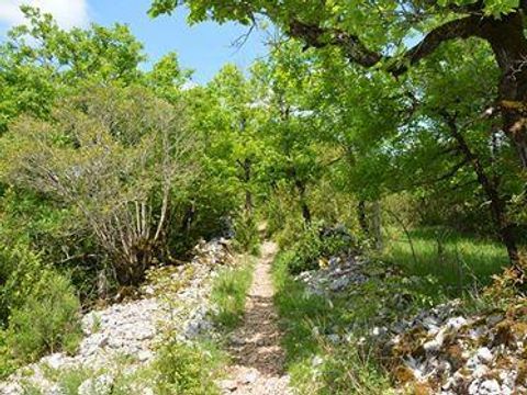 Flower Camping De la Plage - Camping Lot - Image N°64