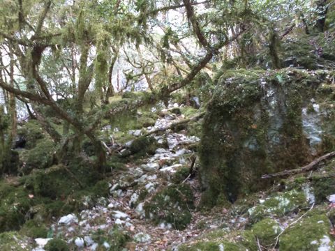 Flower Camping De la Plage - Camping Lot - Image N°79