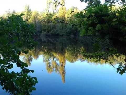 Flower Camping De la Plage - Camping Lot - Image N°86