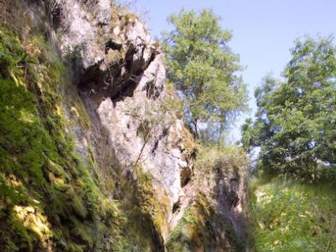 Flower Camping De la Plage - Camping Lot - Image N°68