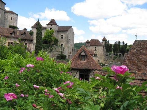 Flower Camping De la Plage - Camping Lot - Image N°82