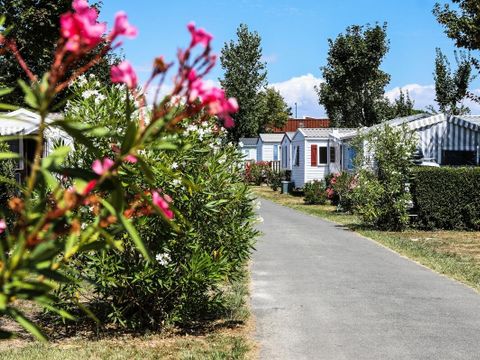 Camping maeva Club Les Dinosaures - Camping Vendée - Image N°64