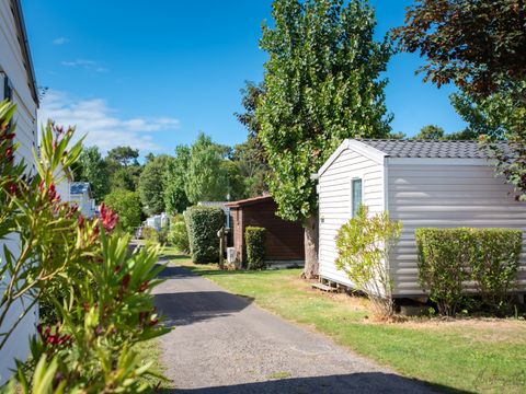 Camping maeva Club Les Dinosaures - Camping Vendée - Image N°57