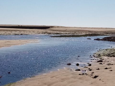 Camping De La Plage à Benodet - Camping Finistère - Image N°73