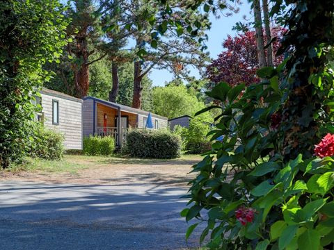 CHALET 5 personnes - CLUB